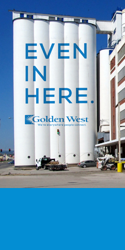 advertisement
