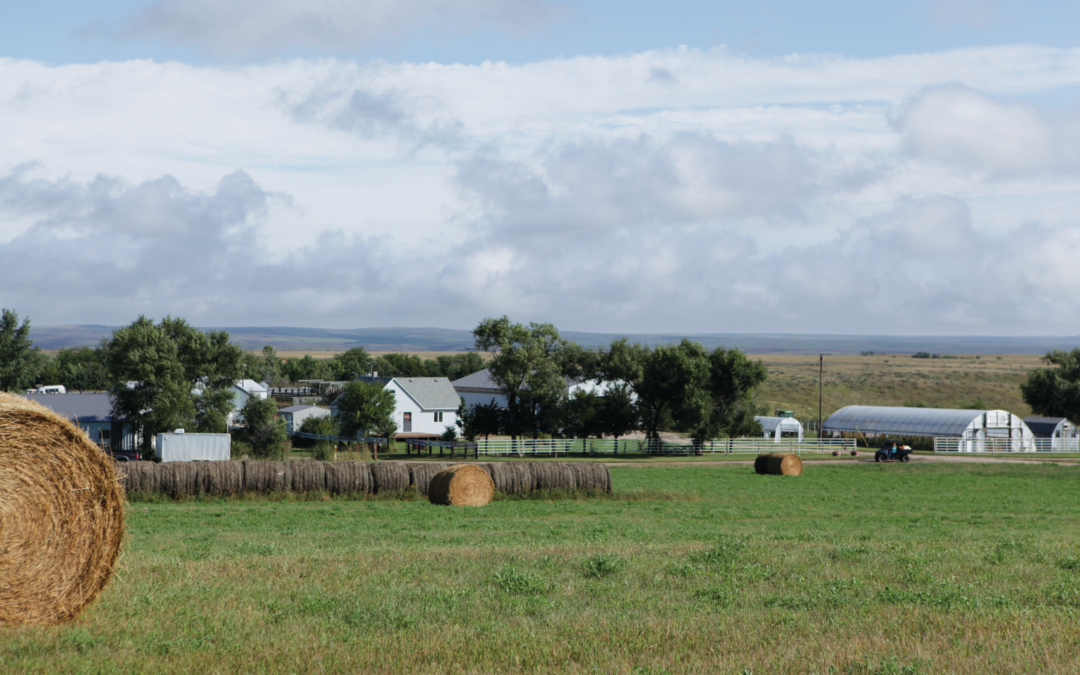 Produce From the Prairie