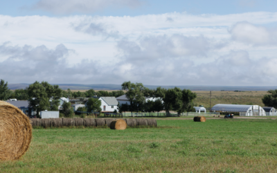 Produce From the Prairie